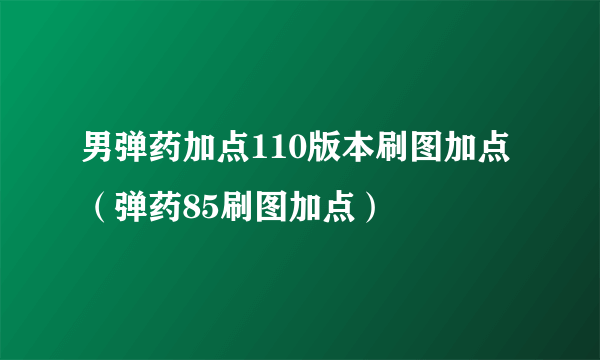 男弹药加点110版本刷图加点（弹药85刷图加点）