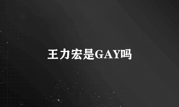 王力宏是GAY吗