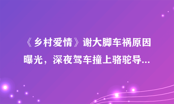 《乡村爱情》谢大脚车祸原因曝光，深夜驾车撞上骆驼导致车祸！