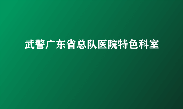 武警广东省总队医院特色科室