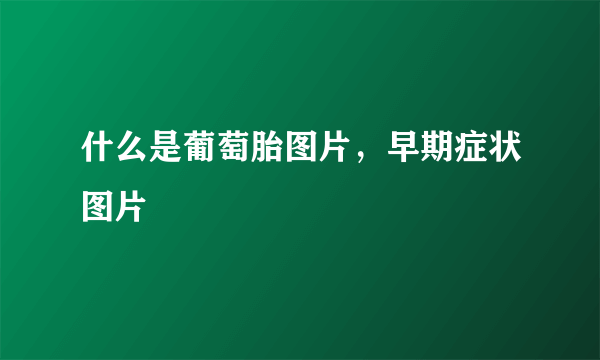 什么是葡萄胎图片，早期症状图片