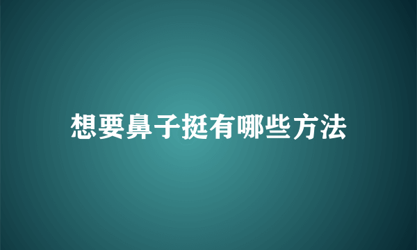 想要鼻子挺有哪些方法