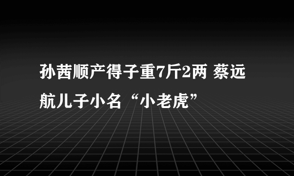 孙茜顺产得子重7斤2两 蔡远航儿子小名“小老虎”