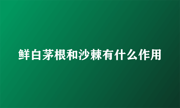 鲜白茅根和沙棘有什么作用