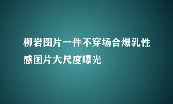 柳岩图片一件不穿场合爆乳性感图片大尺度曝光