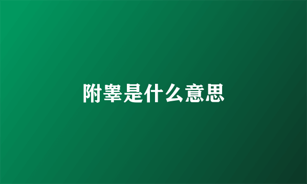 附睾是什么意思