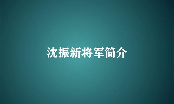 沈振新将军简介