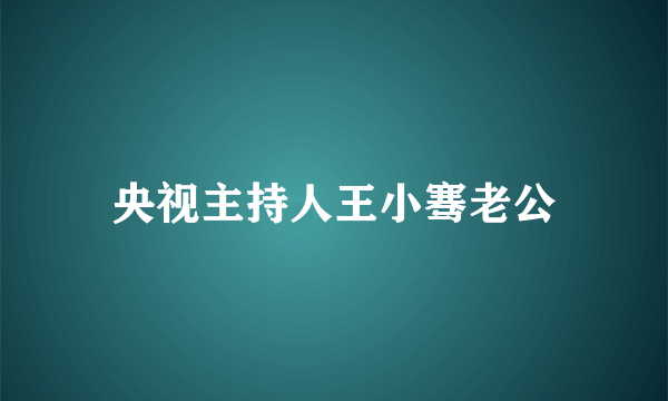 央视主持人王小骞老公