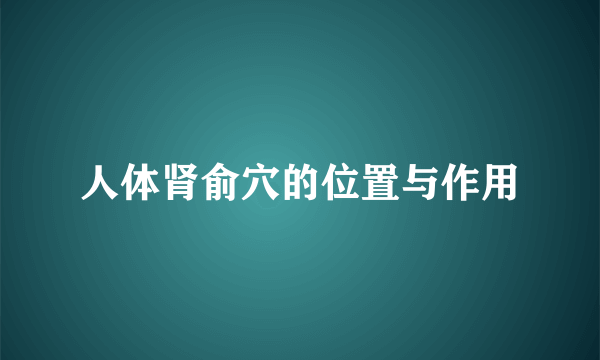 人体肾俞穴的位置与作用