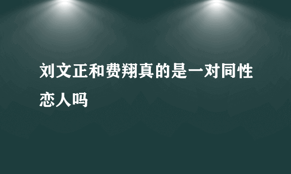 刘文正和费翔真的是一对同性恋人吗