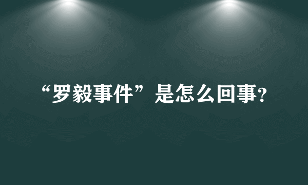 “罗毅事件”是怎么回事？