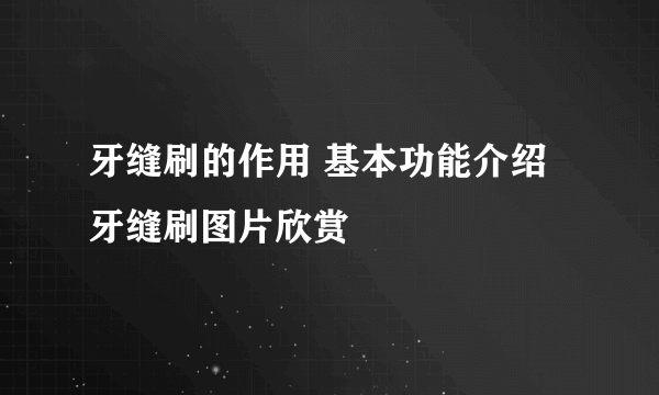 牙缝刷的作用 基本功能介绍 牙缝刷图片欣赏