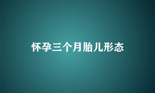 怀孕三个月胎儿形态