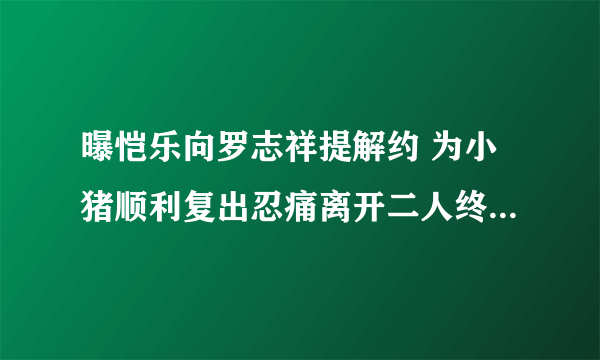 曝恺乐向罗志祥提解约 为小猪顺利复出忍痛离开二人终于结束了?-知性