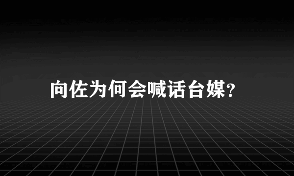 向佐为何会喊话台媒？