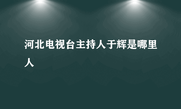 河北电视台主持人于辉是哪里人