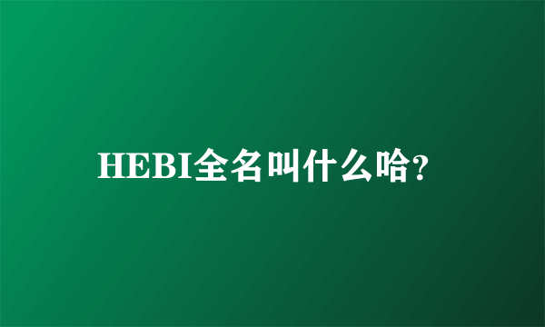 HEBI全名叫什么哈？