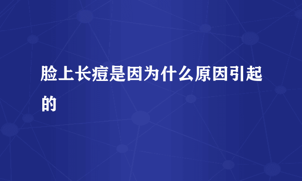 脸上长痘是因为什么原因引起的