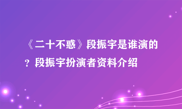 《二十不惑》段振宇是谁演的？段振宇扮演者资料介绍