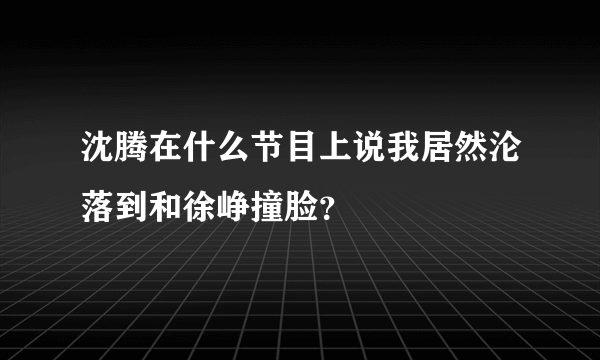 沈腾在什么节目上说我居然沦落到和徐峥撞脸？