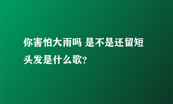 你害怕大雨吗 是不是还留短头发是什么歌？