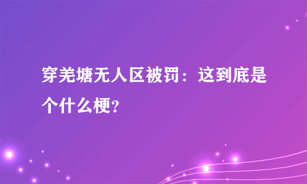 穿羌塘无人区被罚：这到底是个什么梗？