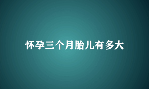 怀孕三个月胎儿有多大