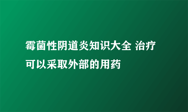 霉菌性阴道炎知识大全 治疗可以采取外部的用药