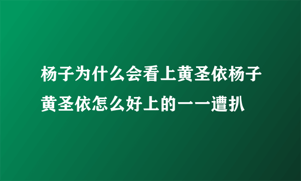 杨子为什么会看上黄圣依杨子黄圣依怎么好上的一一遭扒