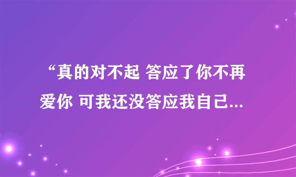 “真的对不起 答应了你不再爱你 可我还没答应我自己”是哪个歌?