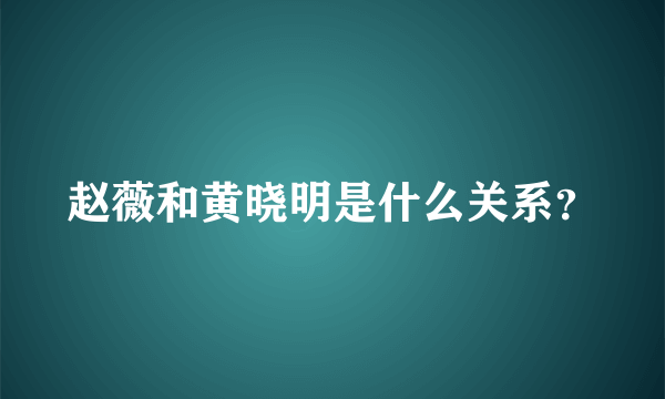 赵薇和黄晓明是什么关系？