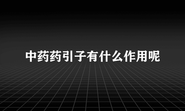 中药药引子有什么作用呢