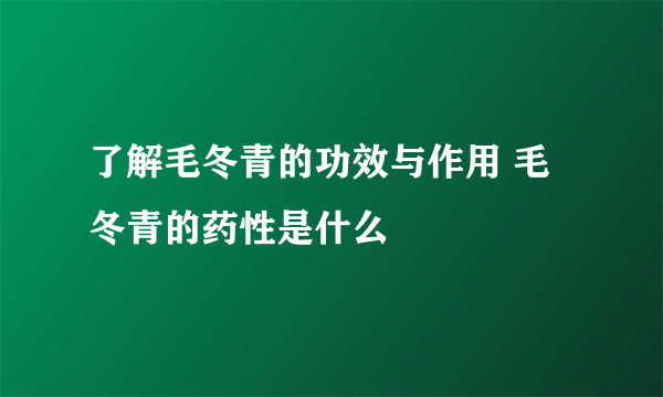 了解毛冬青的功效与作用 毛冬青的药性是什么