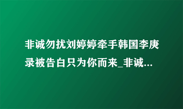 非诚勿扰刘婷婷牵手韩国李庚录被告白只为你而来_非诚勿扰刘婷婷