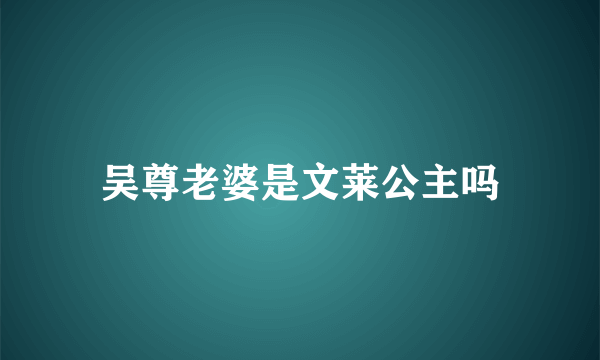 吴尊老婆是文莱公主吗