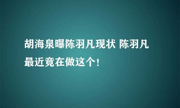 胡海泉曝陈羽凡现状 陈羽凡最近竟在做这个！