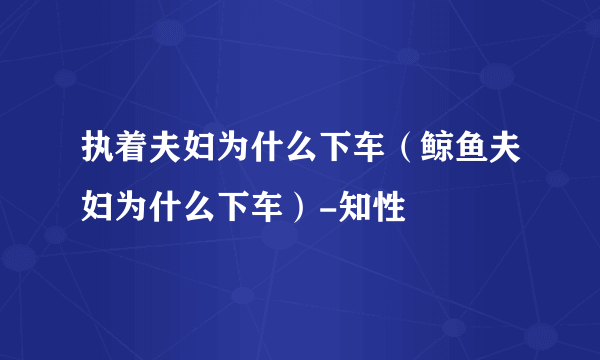 执着夫妇为什么下车（鲸鱼夫妇为什么下车）-知性