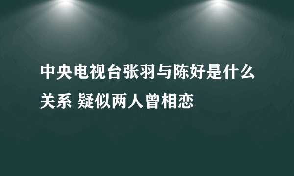 中央电视台张羽与陈好是什么关系 疑似两人曾相恋