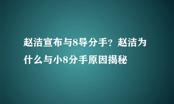 赵洁宣布与8导分手？赵洁为什么与小8分手原因揭秘