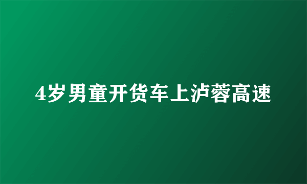 4岁男童开货车上泸蓉高速