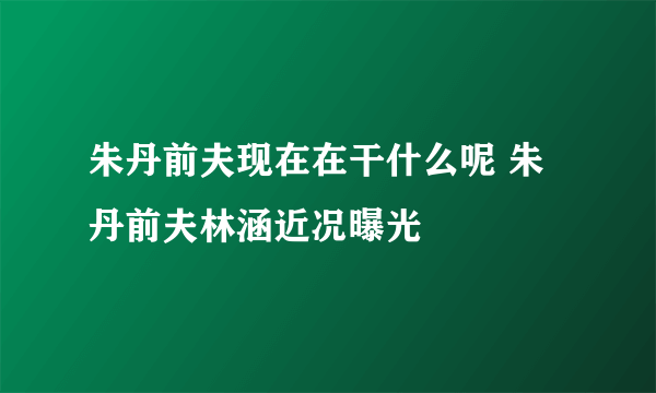 朱丹前夫现在在干什么呢 朱丹前夫林涵近况曝光