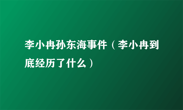 李小冉孙东海事件（李小冉到底经历了什么）