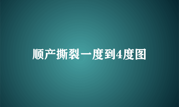 顺产撕裂一度到4度图