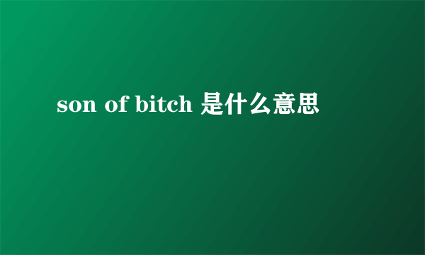 son of bitch 是什么意思