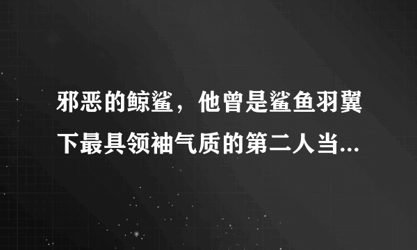 邪恶的鲸鲨，他曾是鲨鱼羽翼下最具领袖气质的第二人当鲨鱼不在场上时正是他_知性