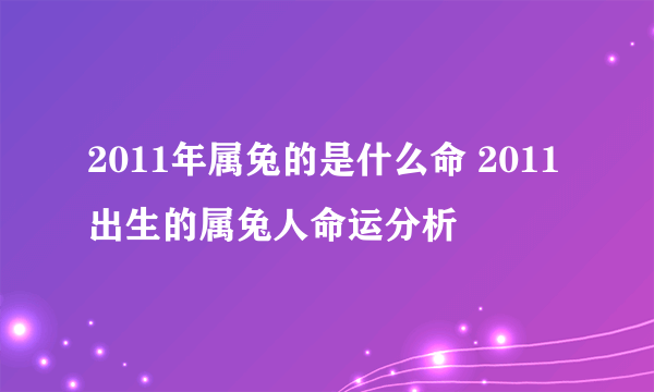 2011年属兔的是什么命 2011出生的属兔人命运分析