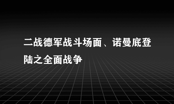 二战德军战斗场面、诺曼底登陆之全面战争