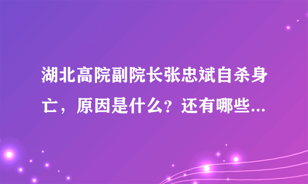 湖北高院副院长张忠斌自杀身亡，原因是什么？还有哪些细节值得关注？