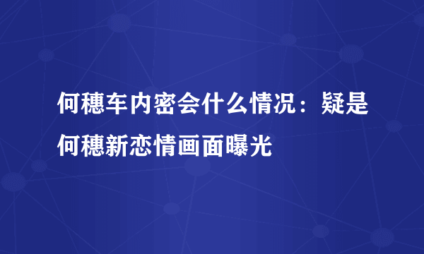 何穗车内密会什么情况：疑是何穗新恋情画面曝光