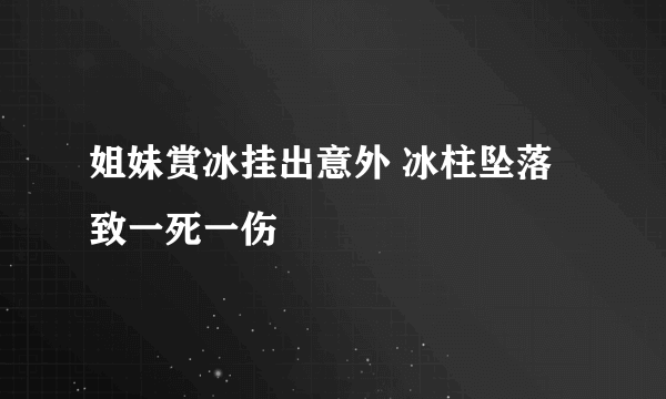 姐妹赏冰挂出意外 冰柱坠落致一死一伤